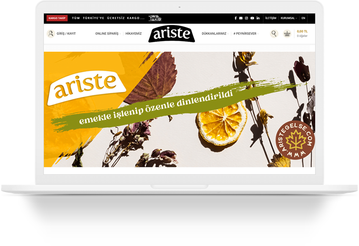 ariste peynir wordpress web tasarim