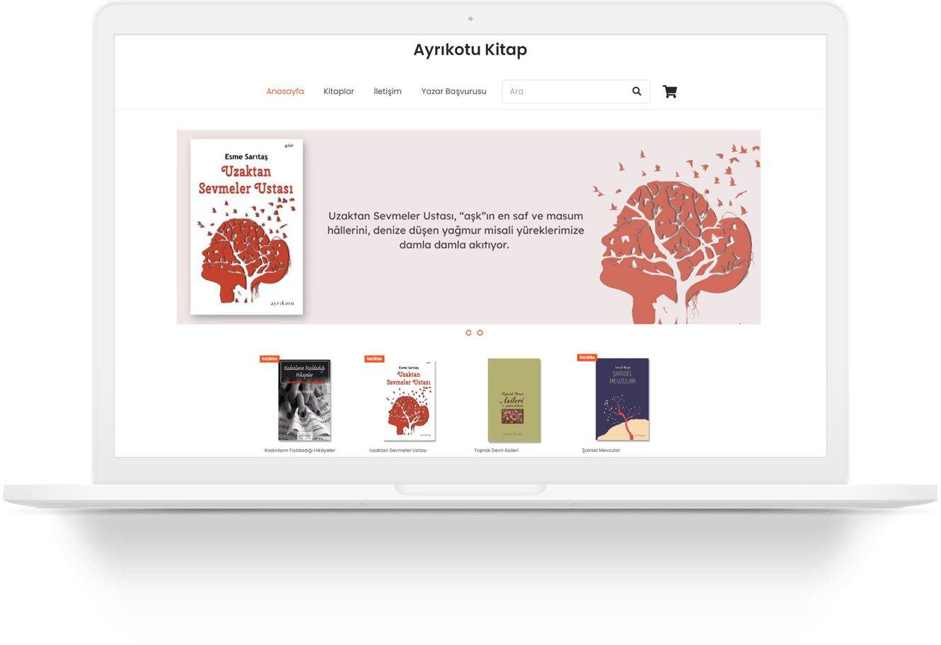 ayrikotu book wordpress web tasarim