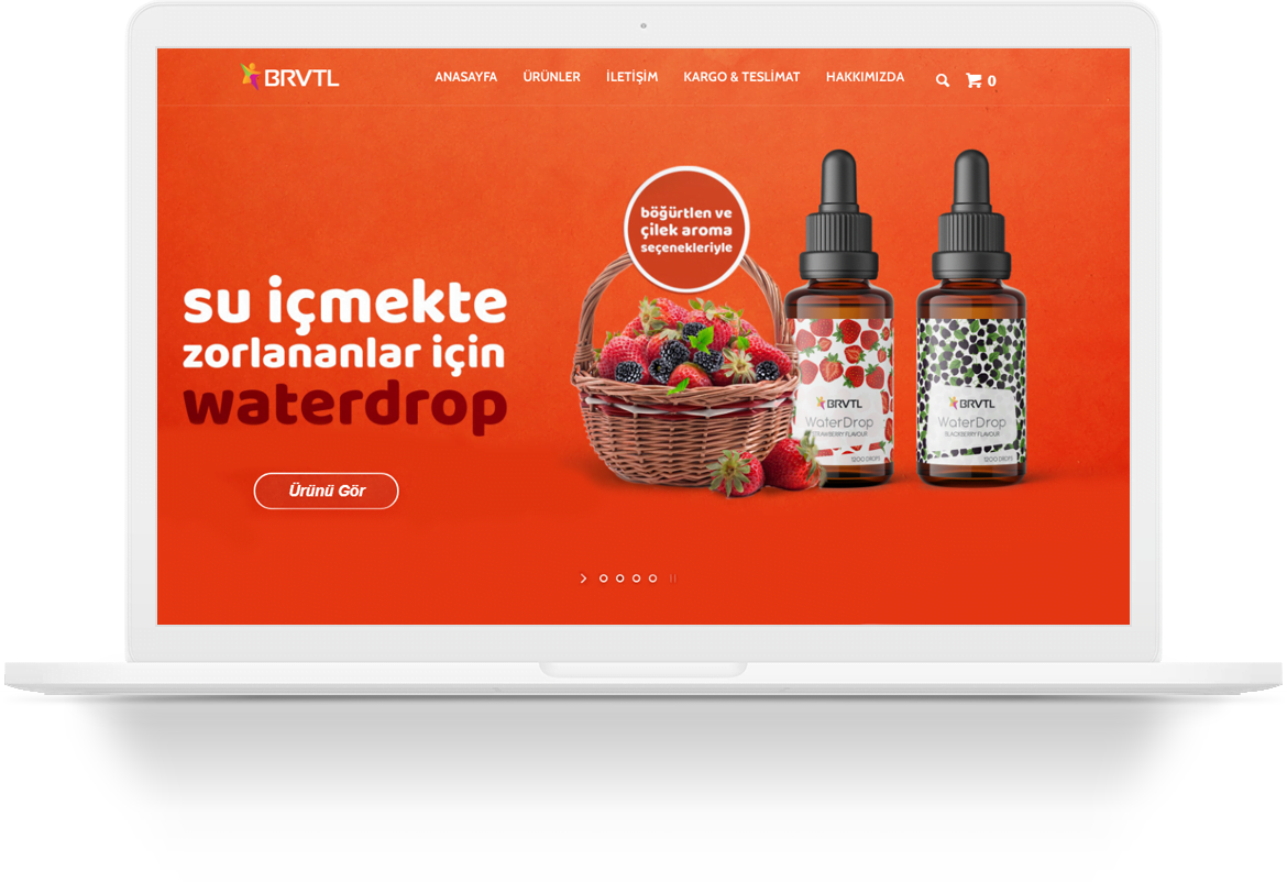 bariatrik supplement wordpress web tasarim