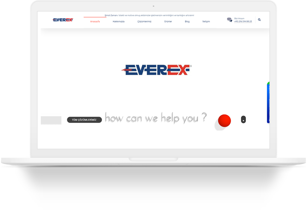 everex technology wordpress web tasarim