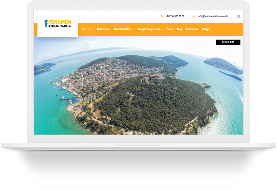 fenomen tabela wordpress web tasarim