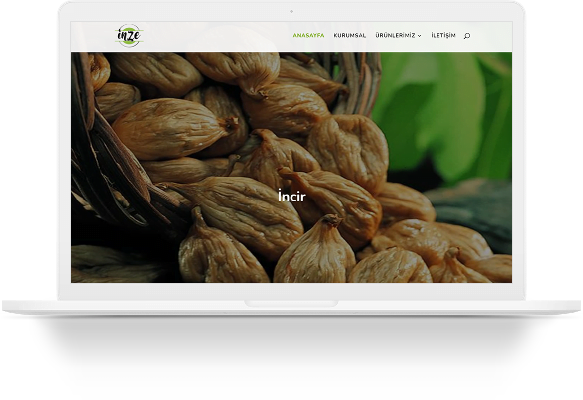 inze food wordpress web tasarim