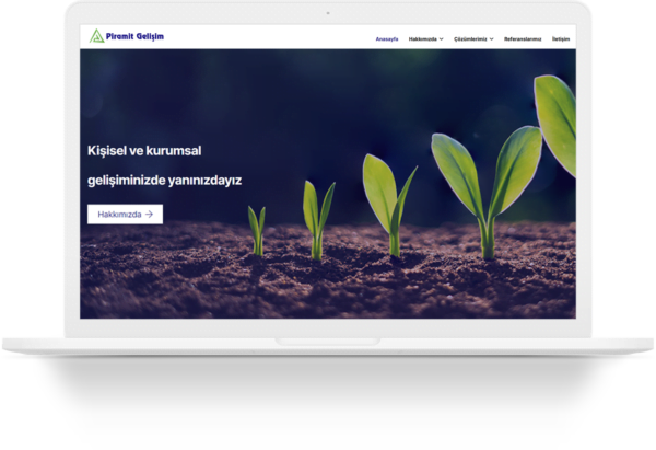 piramit gelisim wordpress web sitesi tasarimi