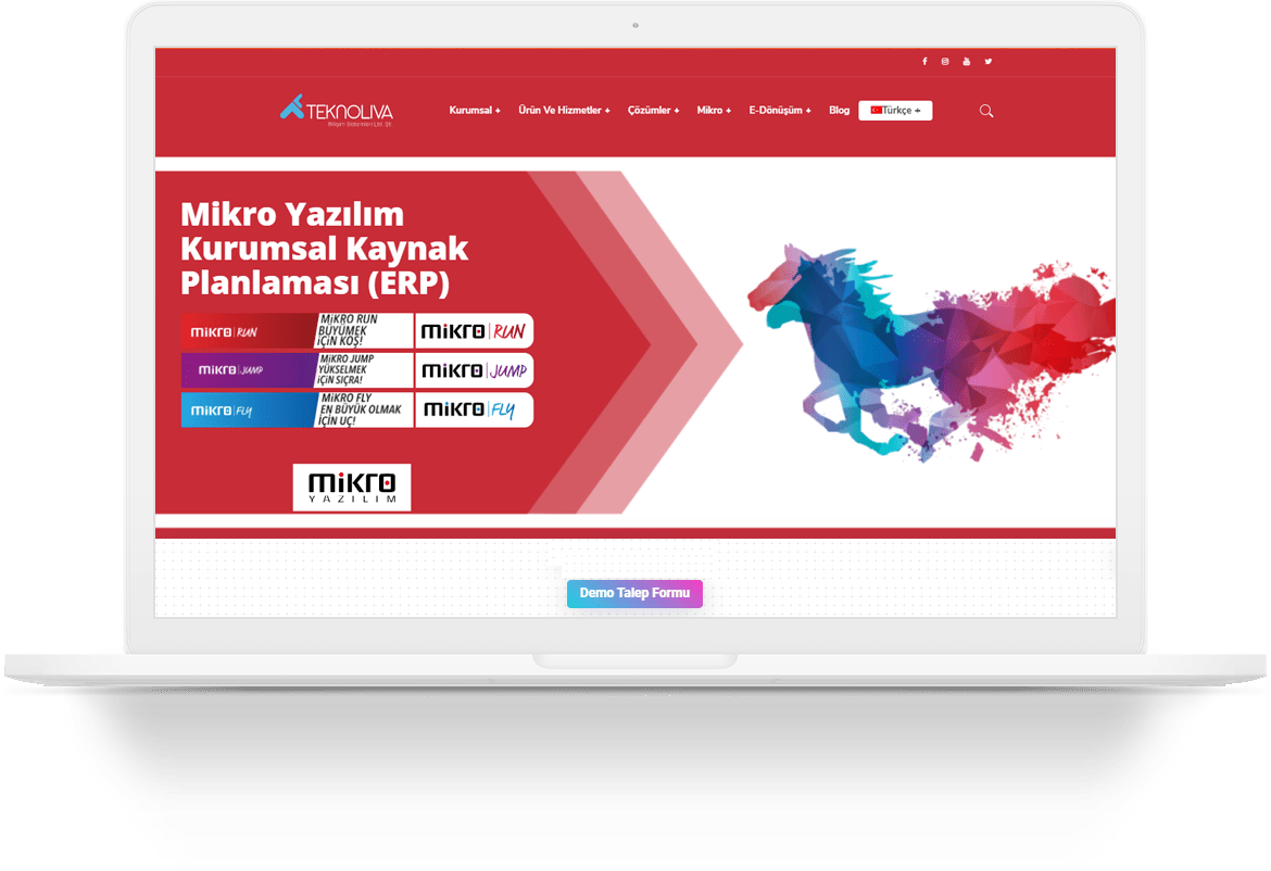 teknoliva software services wordpress web tasarim